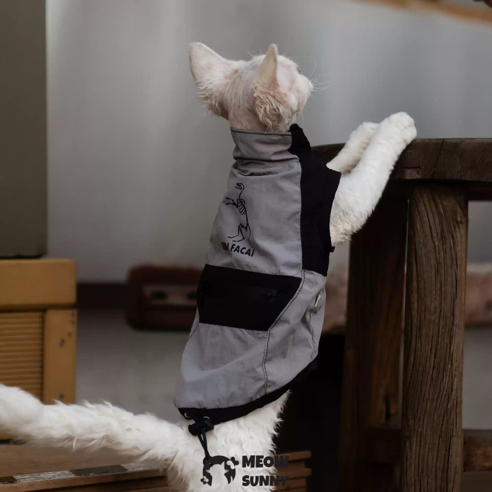 Breathable Spring Autumn Sphynx Hairless Cat Waterproof Black Jacket