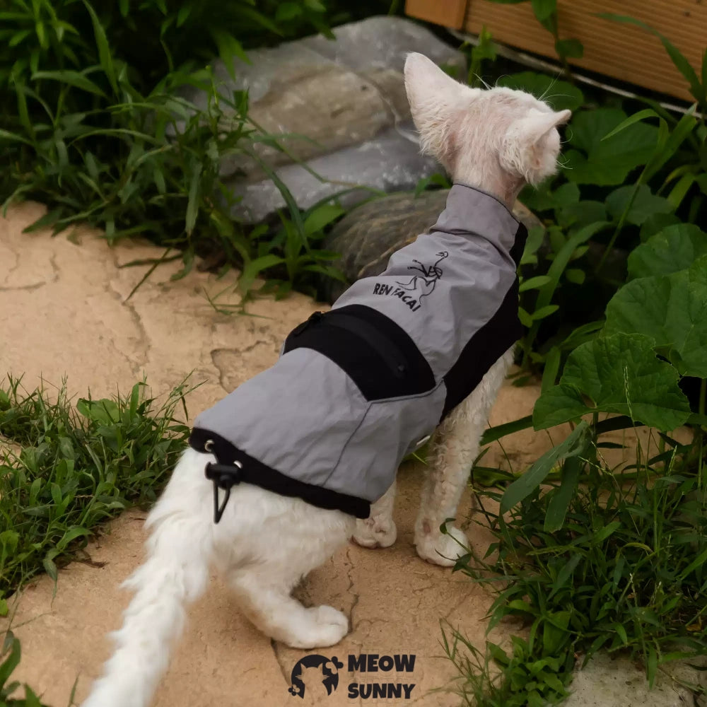 Breathable Spring Autumn Sphynx Hairless Cat Waterproof Black Jacket