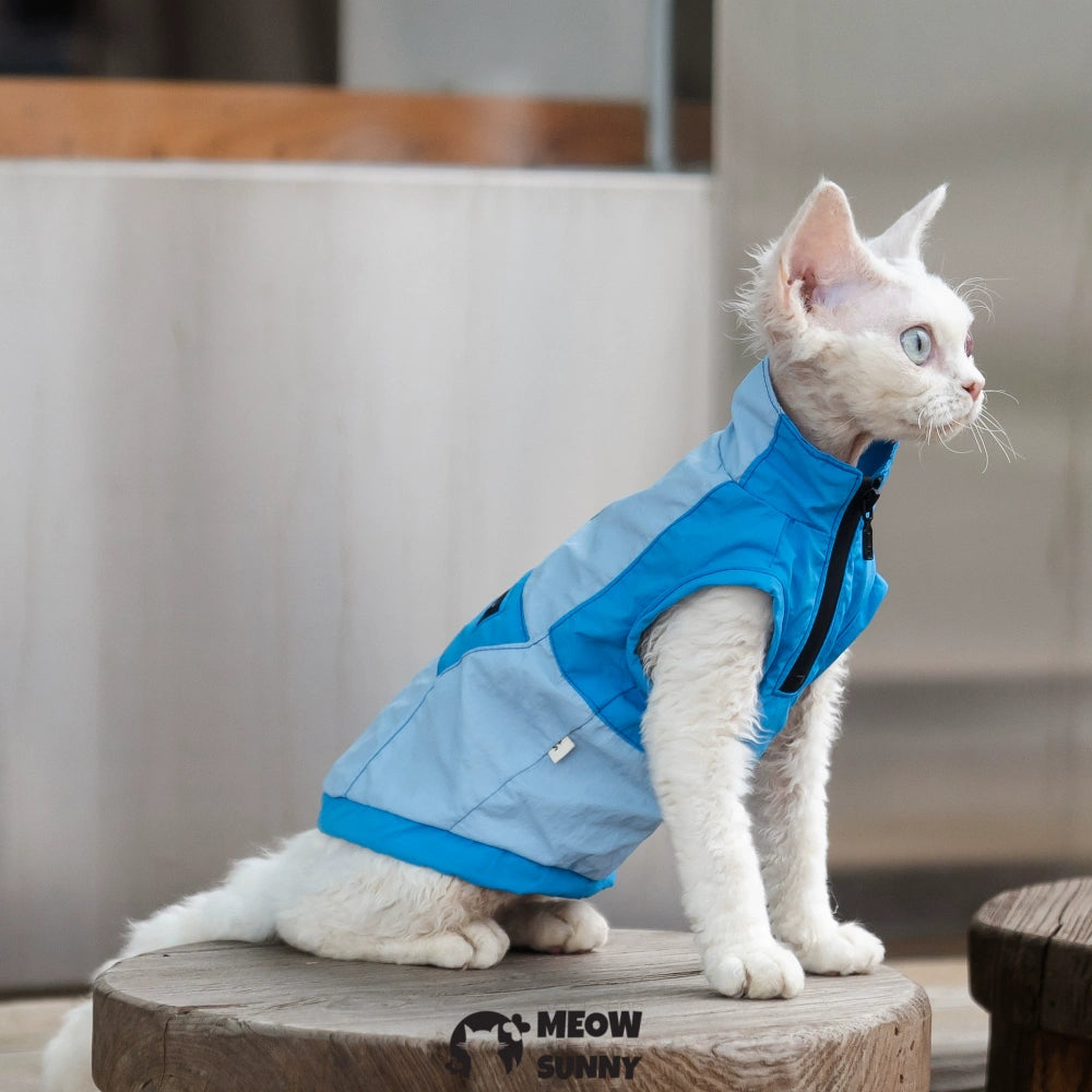 Breathable Spring Autumn Sphynx Hairless Cat Waterproof Blue Jacket