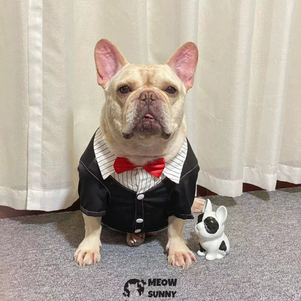Bulldog Costume Dog Suit Formal Tuxedo with Red Bow Tie