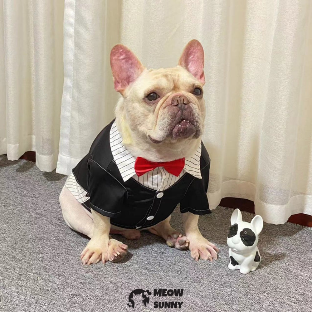 Bulldog Costume Dog Suit Formal Tuxedo with Red Bow Tie