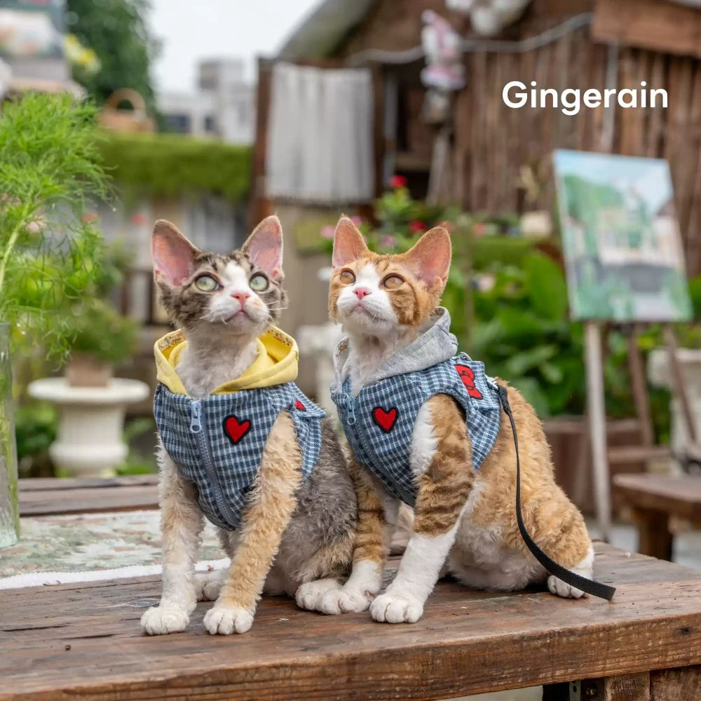 Cat Harness and Leash Set, Anti-Escape Kitten Hoodie, Soft and Breathable