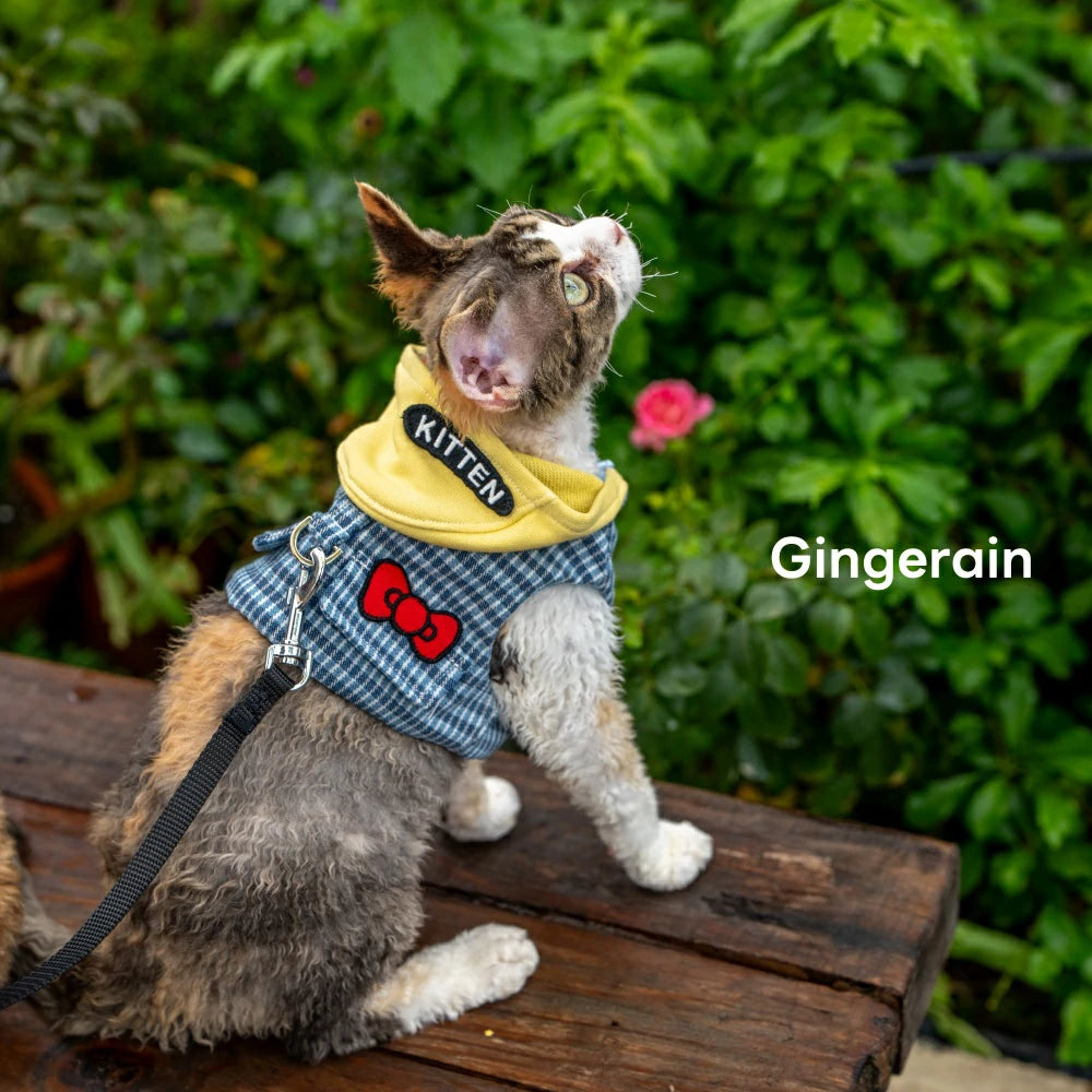 Cat Harness and Leash Set, Anti-Escape Kitten Hoodie, Soft and Breathable