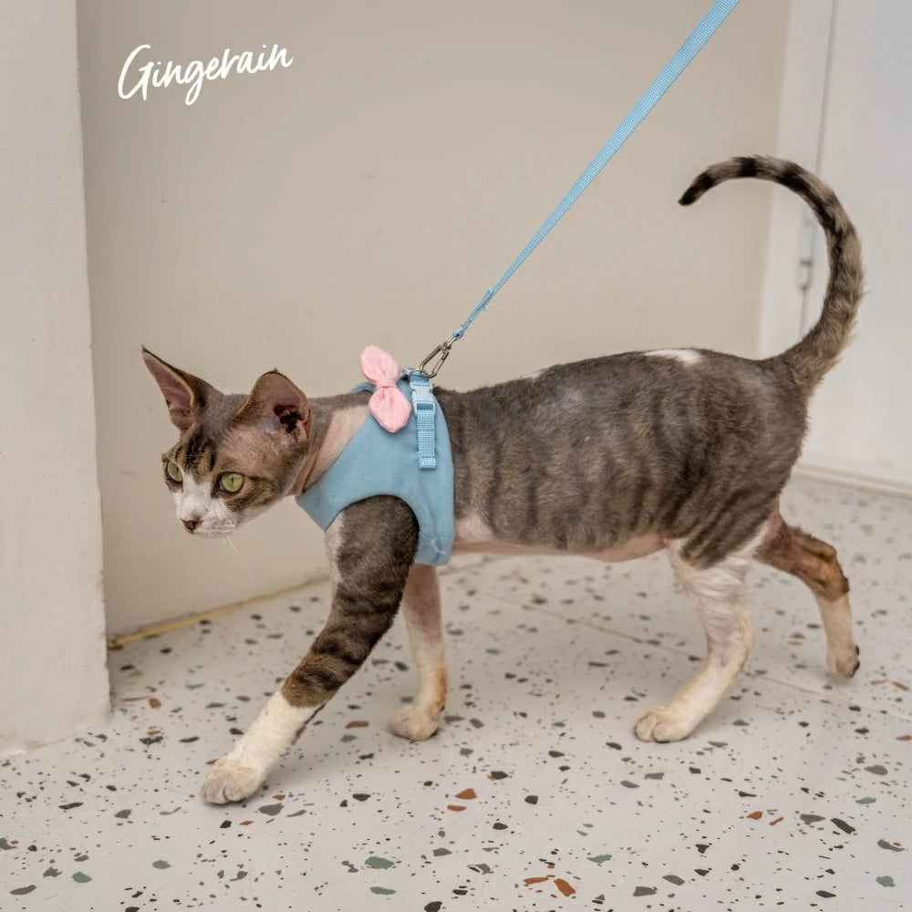 Cat Harness and Leash Set, Escape Proof Kitten Harness
