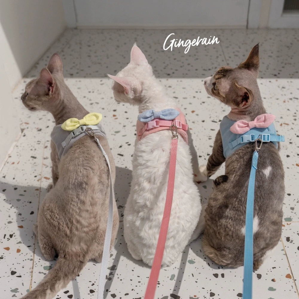 Cat Harness and Leash Set, Escape Proof Kitten Harness