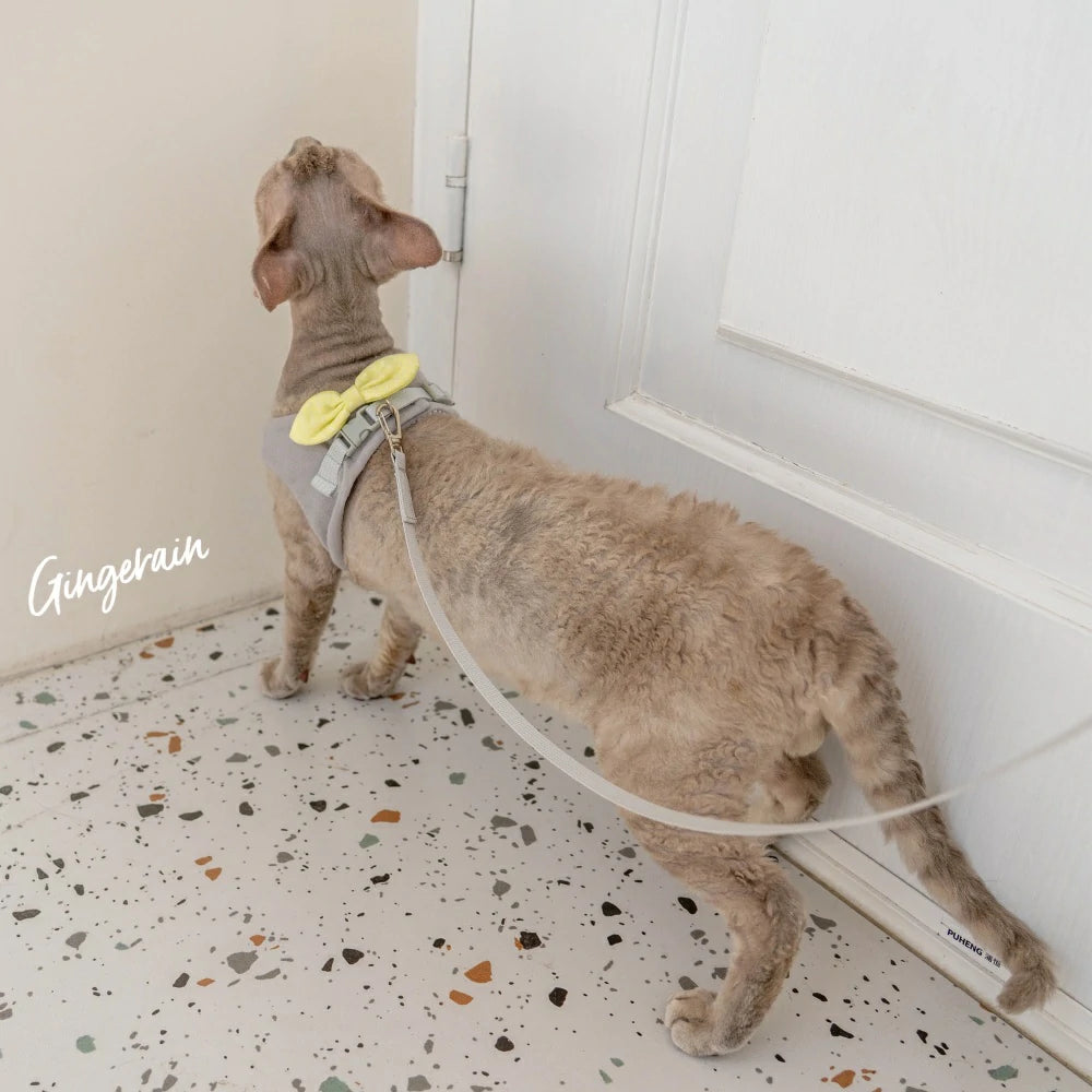 Cat Harness and Leash Set, Escape Proof Kitten Harness