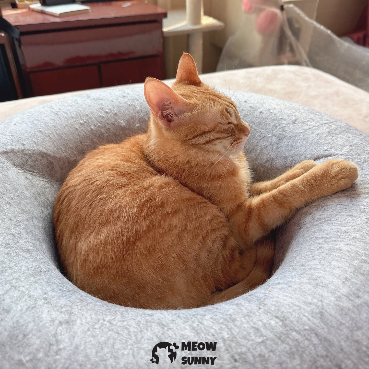 Cat Tunnel Bed for Indoor Cats
