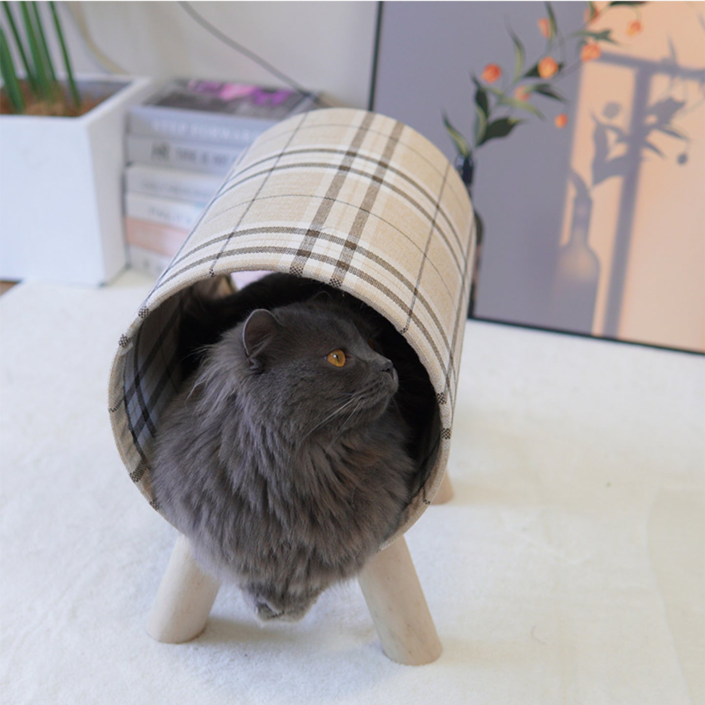 Cat Tunnel with Cat Bed