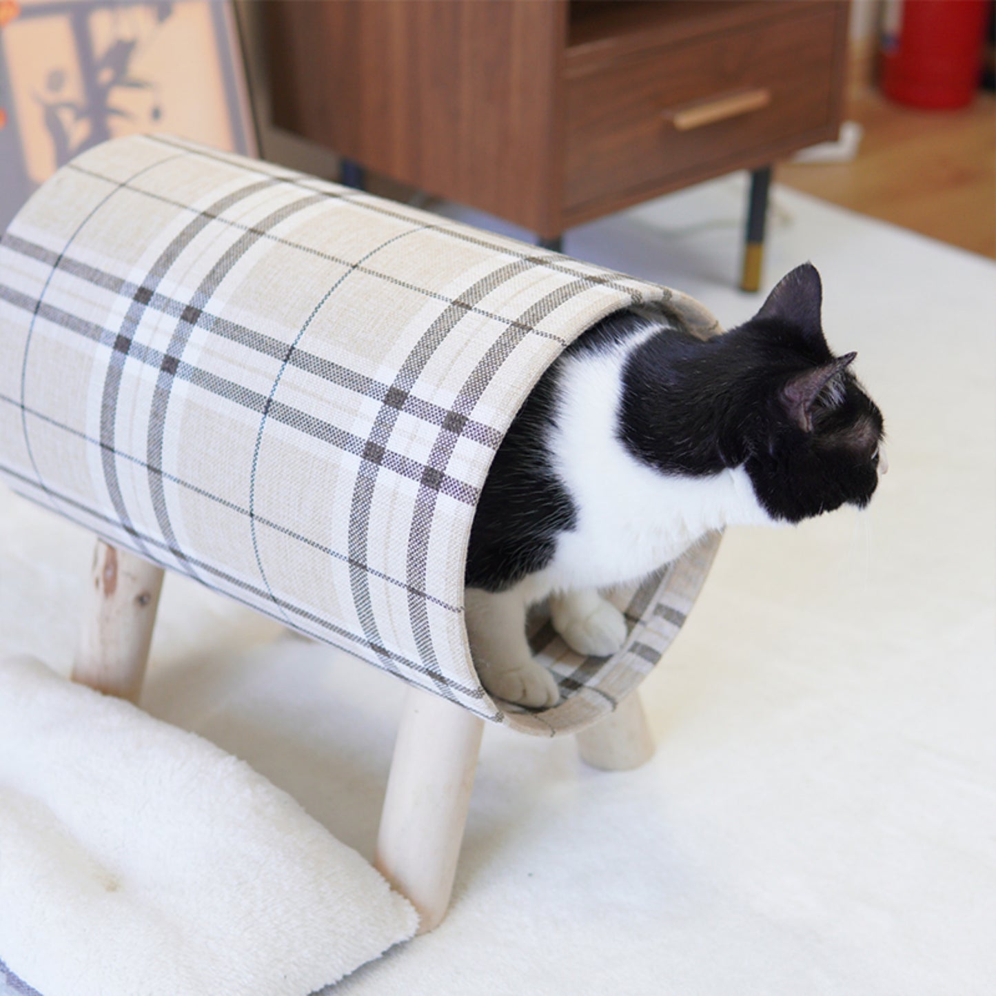Cat Tunnel with Cat Bed