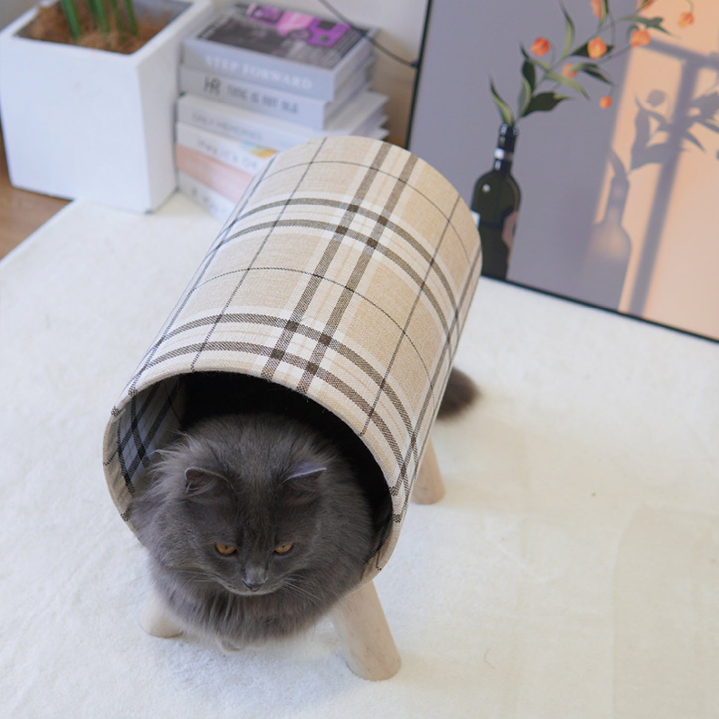 Cat Tunnel with Cat Bed