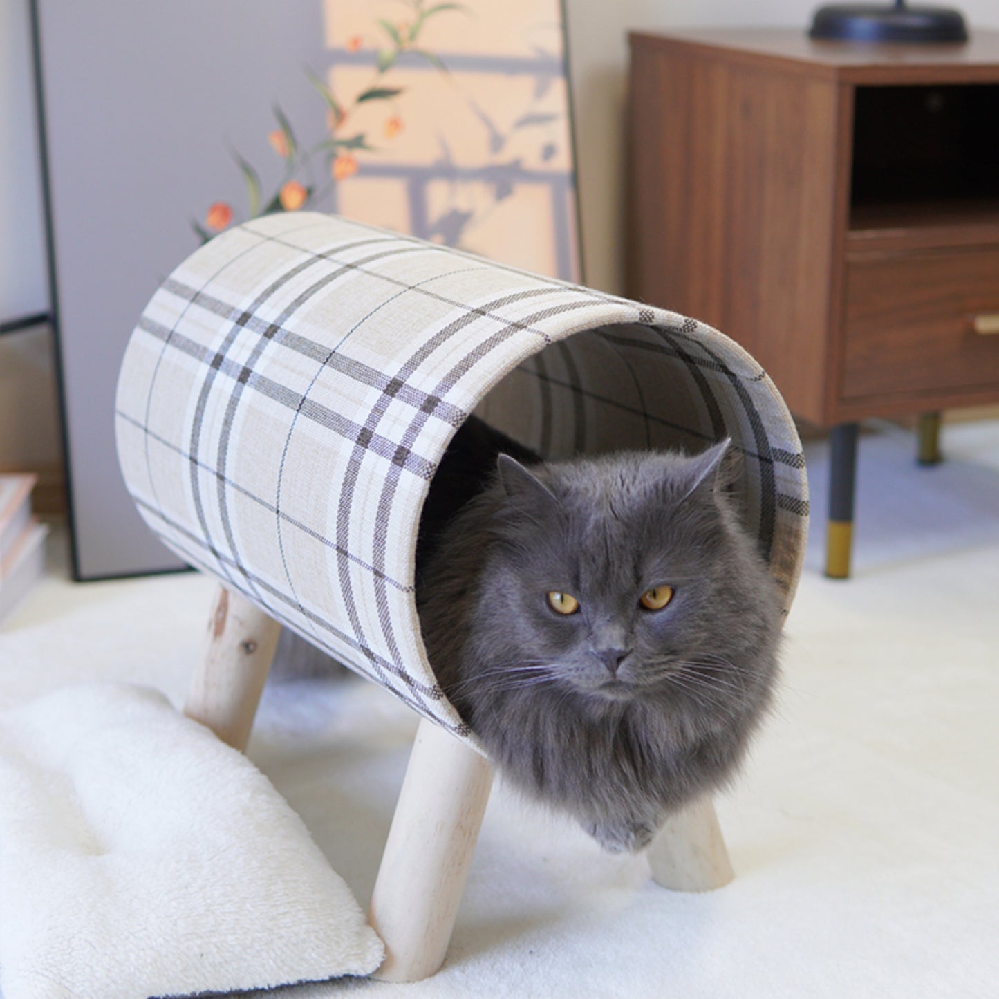 Cat Tunnel with Cat Bed