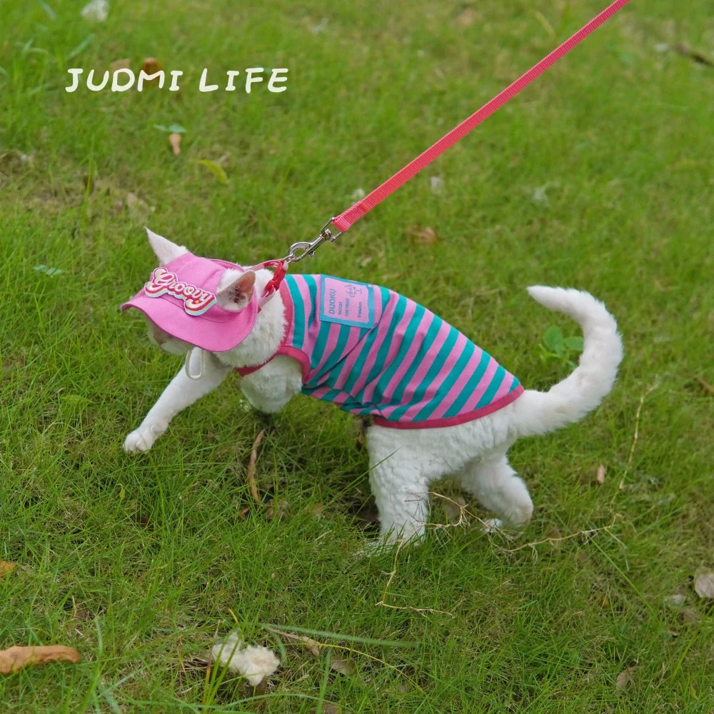Cat Costume Blue and Pink Striped Vest Leash Set Includes Hat