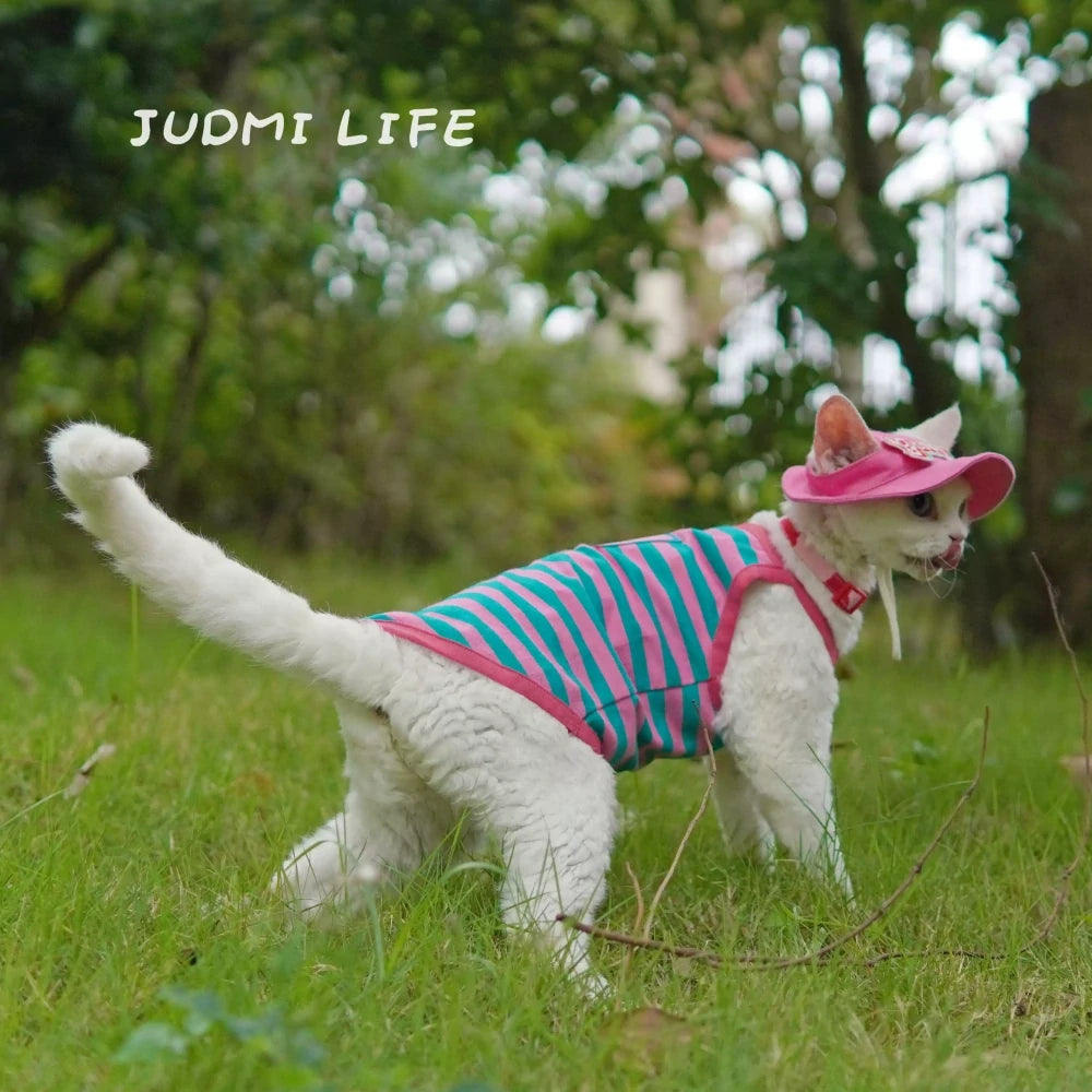 Cat Costume Blue and Pink Striped Vest Leash Set Includes Hat