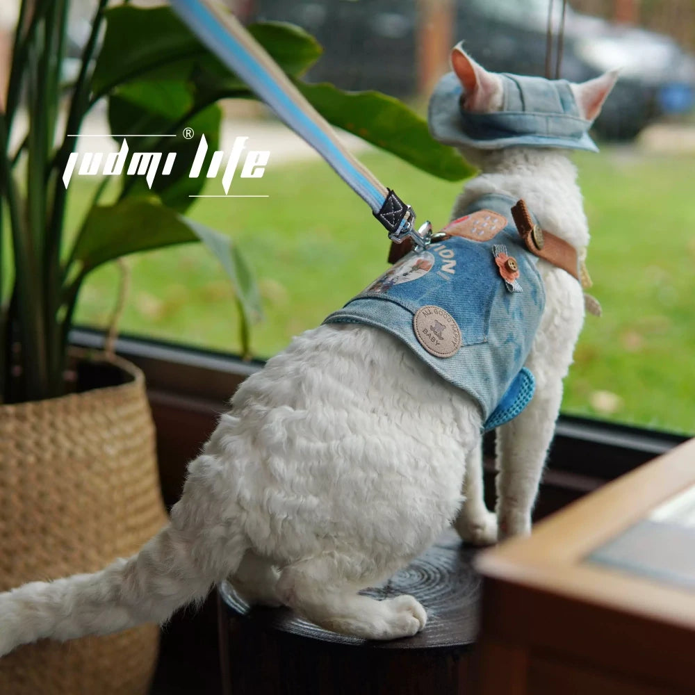 Cat denim chest leash set includes hat
