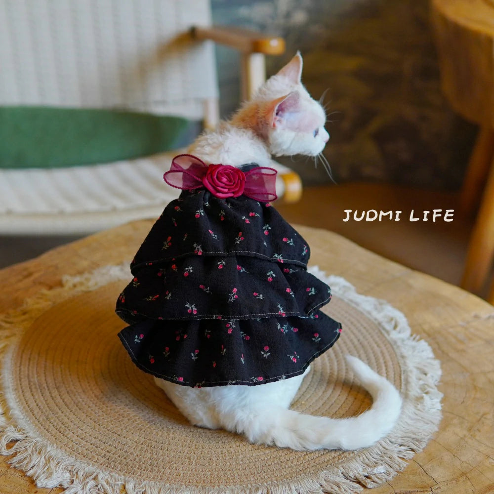 Cats Lolita Princess Lace Dresses with Black Rose Costume