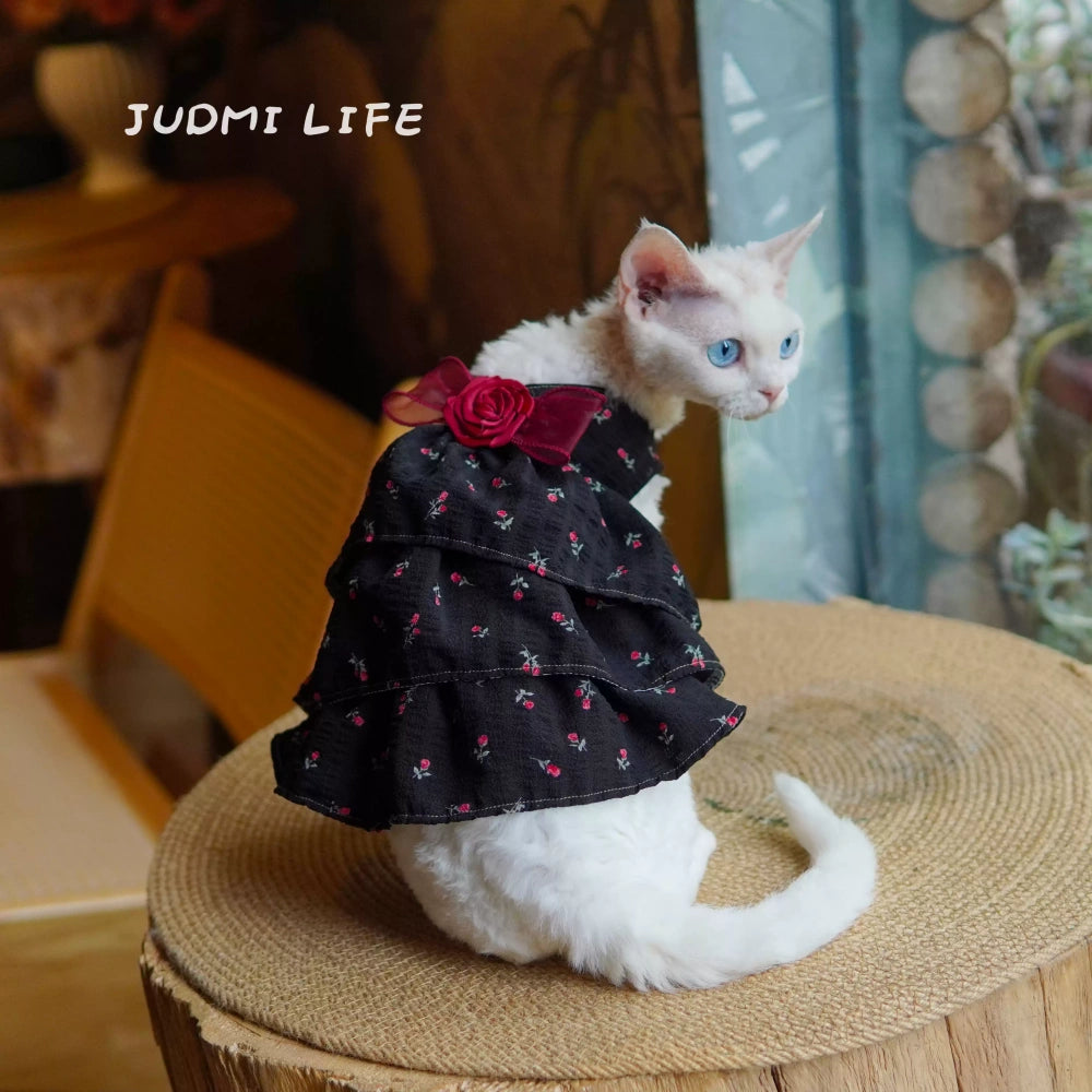 Cats Lolita Princess Lace Dresses with Black Rose Costume