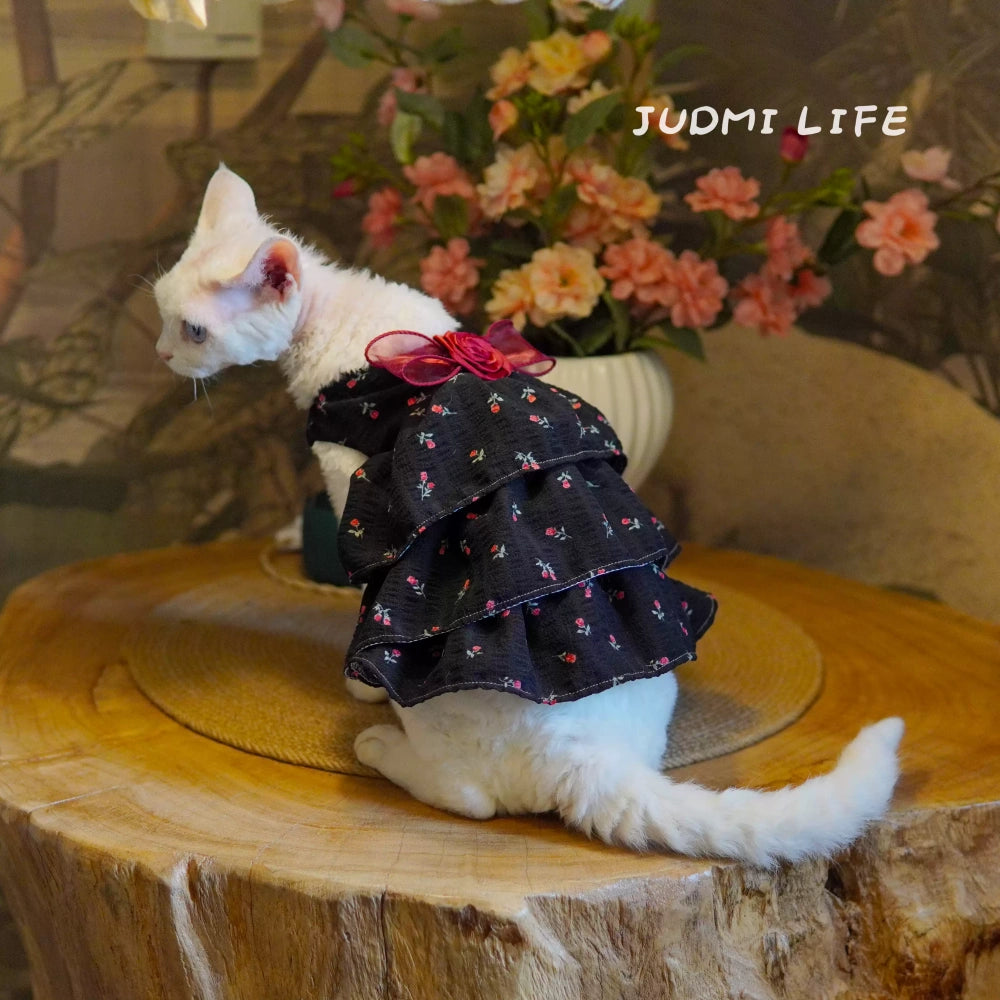 Cats Lolita Princess Lace Dresses with Black Rose Costume