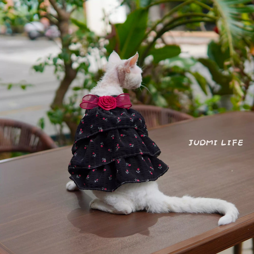 Cats Lolita Princess Lace Dresses with Black Rose Costume