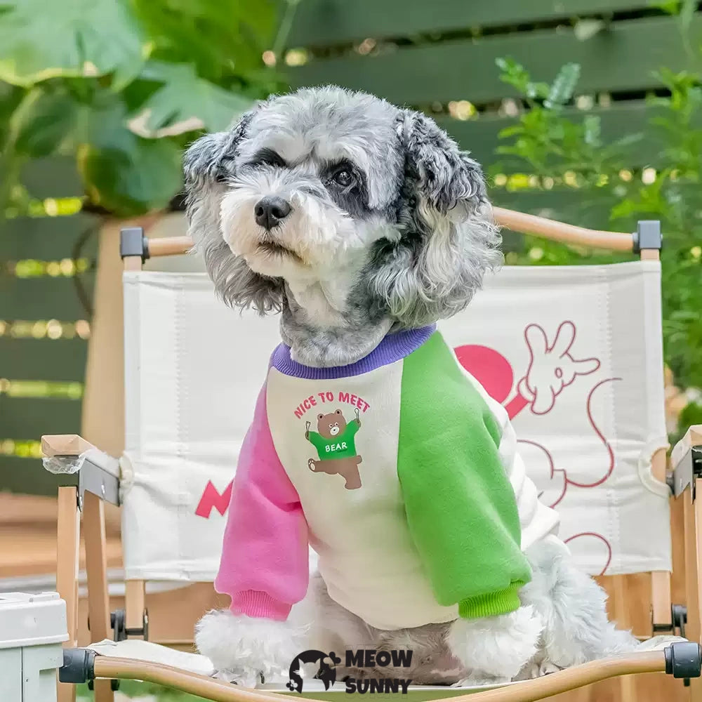 Colorful patchwork summer thin dog comfortable fashion T-shirt