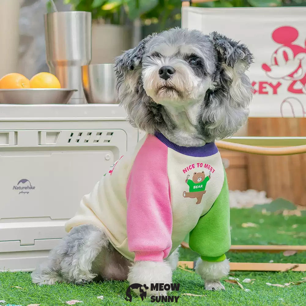 Colorful patchwork summer thin dog comfortable fashion T-shirt
