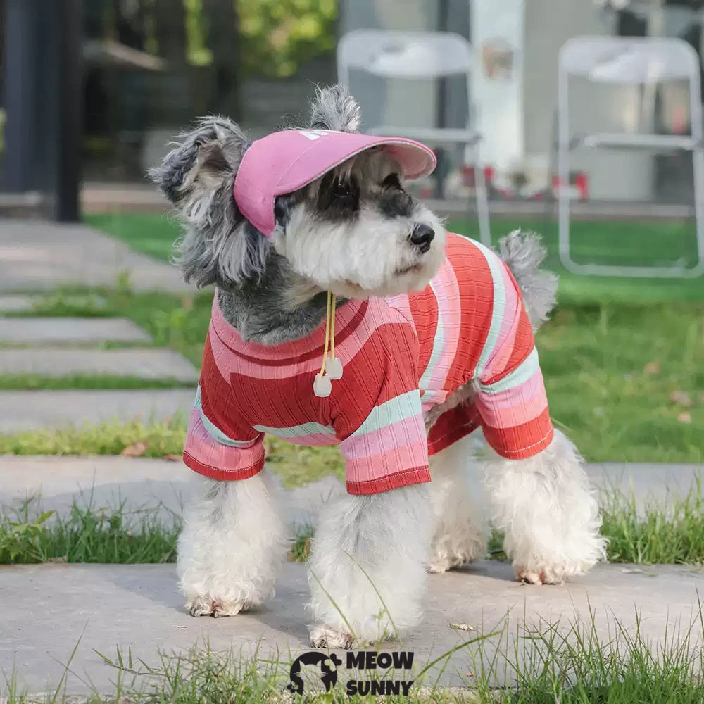 Colorful striped summer thin dog comfortable and fashionable T-shirt
