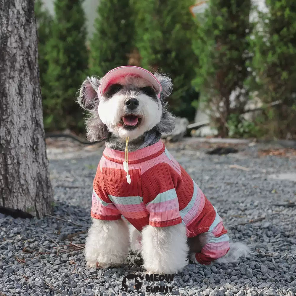 Colorful striped summer thin dog comfortable and fashionable T-shirt