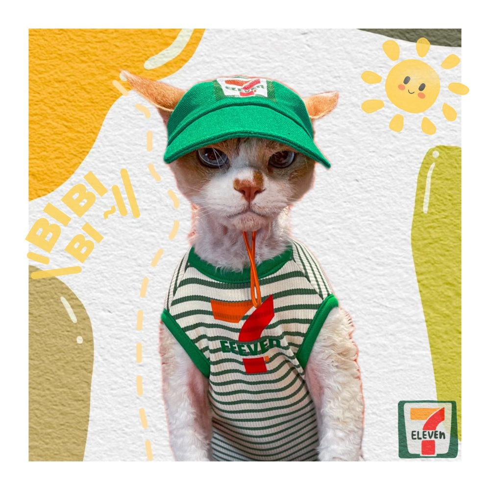 Convenience store sphinx cat clothes, Devon Rex, Green with hat