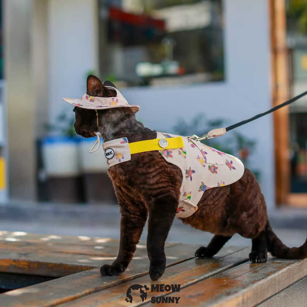 Cute Bear Pattern Cat Leash and Harness Set with Hat