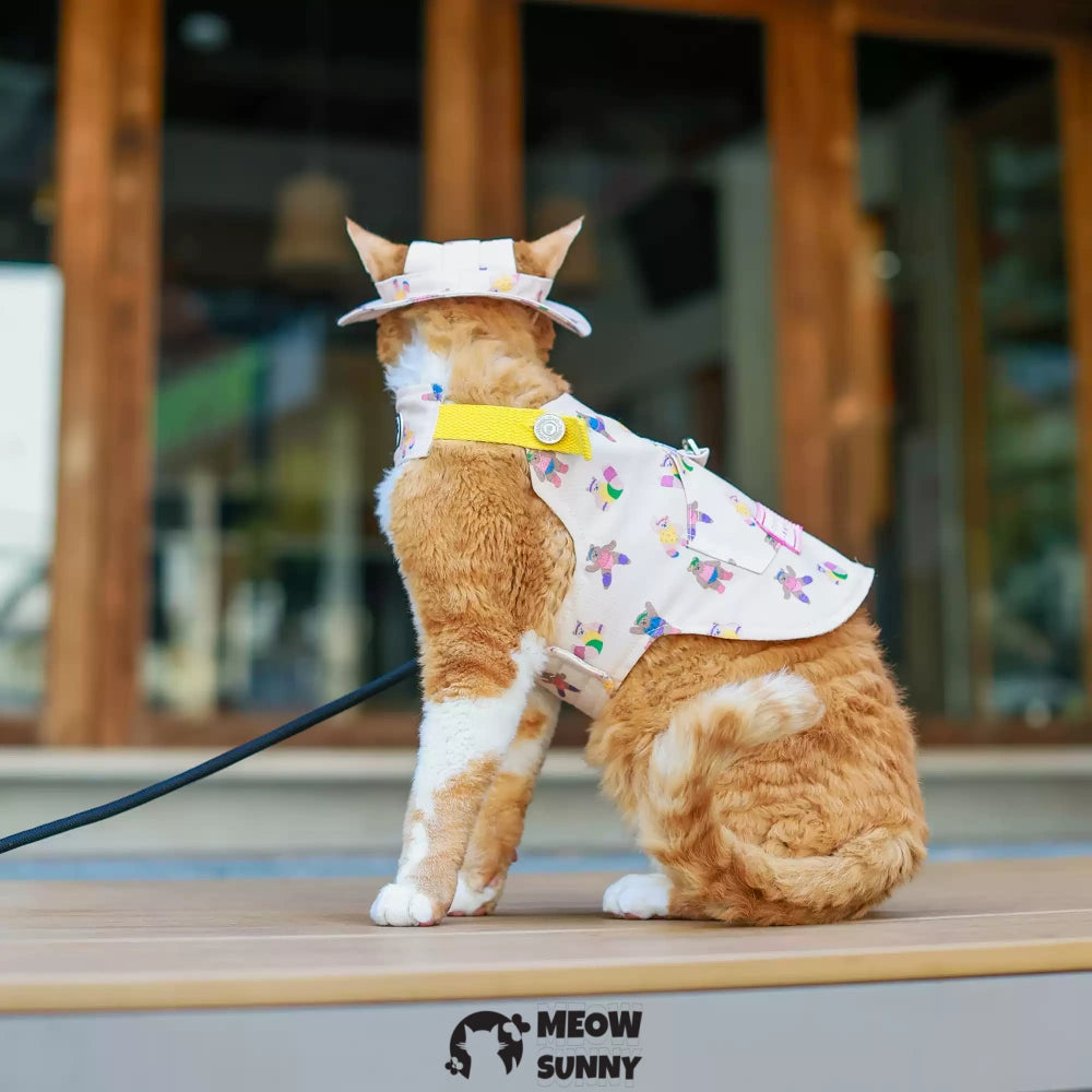 Cute Bear Pattern Cat Leash and Harness Set with Hat