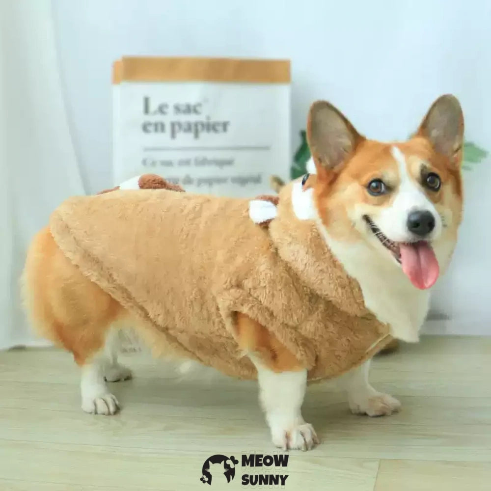 Cute Corgi Clothes Raccoon Shaped Winter Warm Clothes