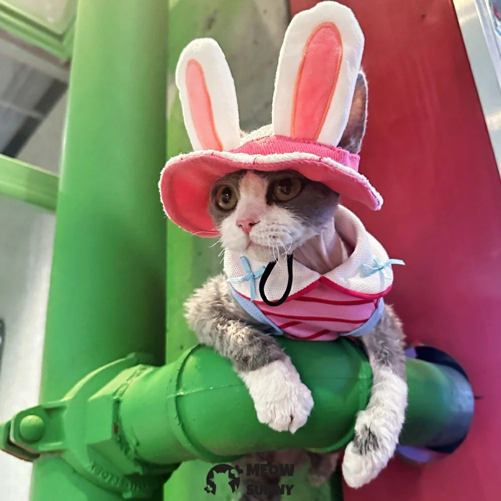 Cute Costume Bunny Rabbit Hat with Ears for Cats