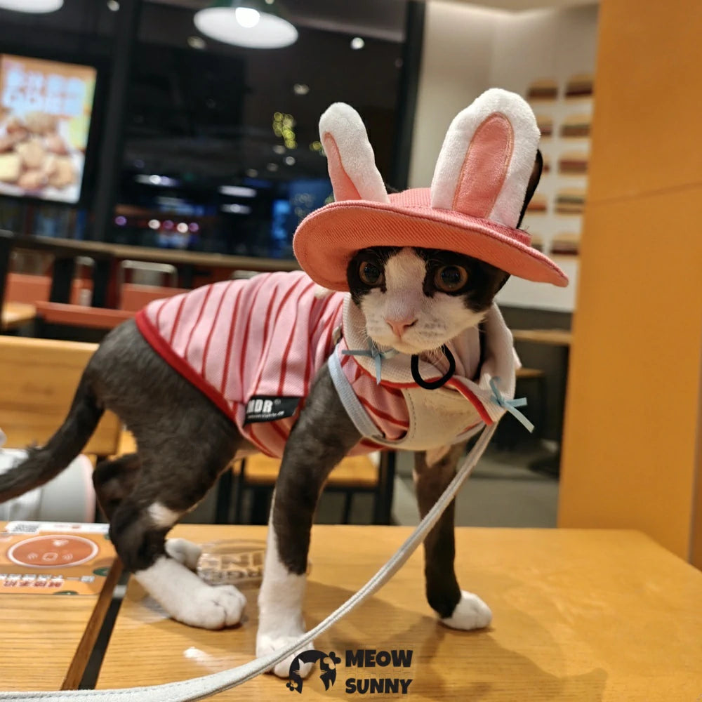 Cute Costume Bunny Rabbit Hat with Ears for Cats
