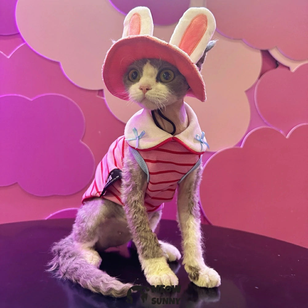 Cute Costume Bunny Rabbit Hat with Ears for Cats