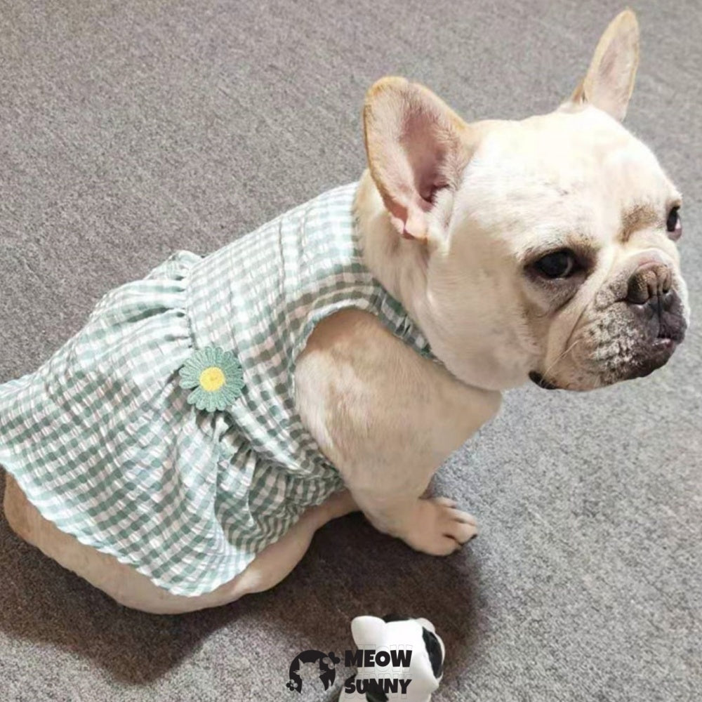 Cute Plaid Dog Dress Set with Bow Tie Harness Leash for Small Dogs