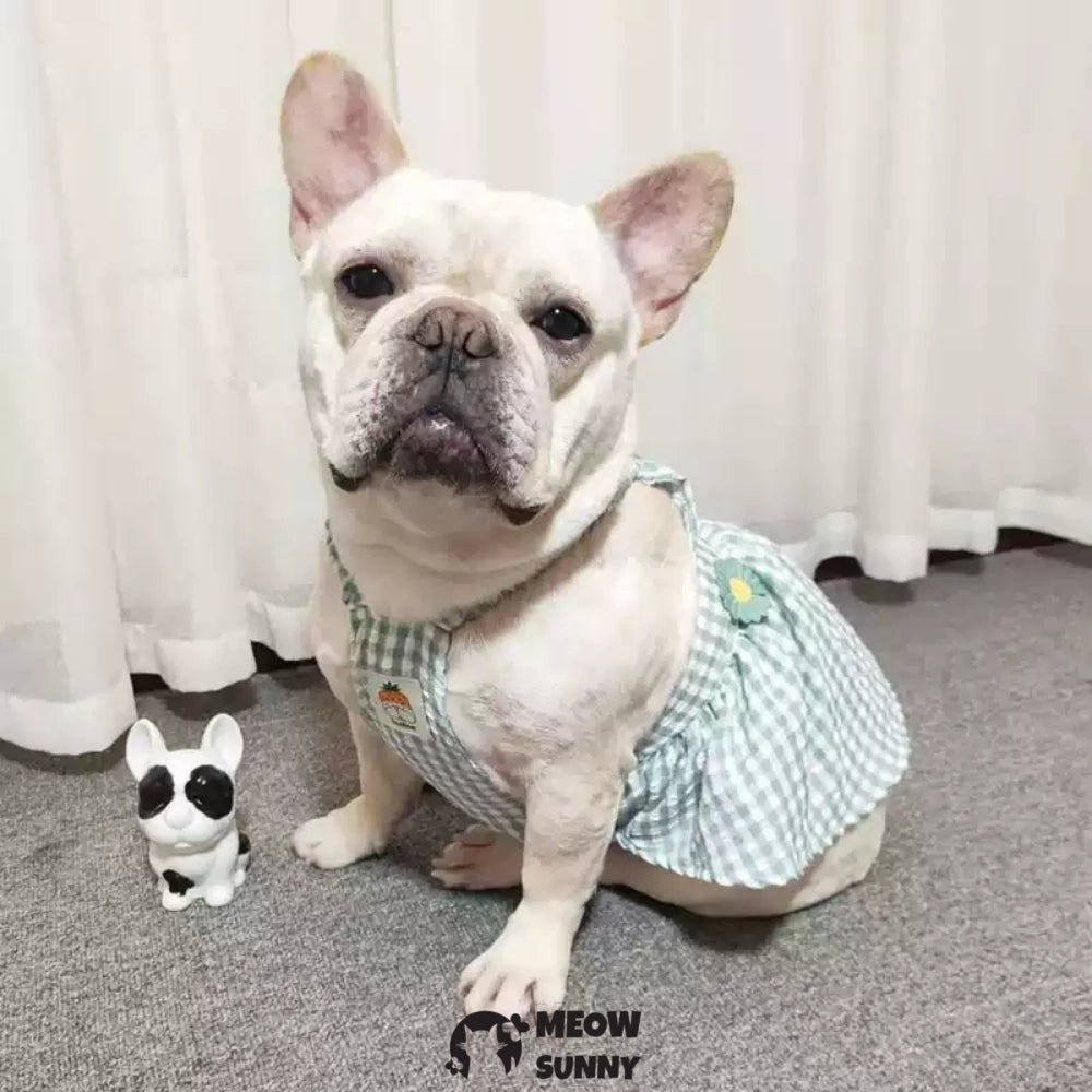 Cute Plaid Dog Dress Set with Bow Tie Harness Leash for Small Dogs
