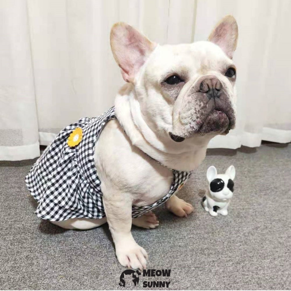 Cute Plaid Dog Dress Set with Bow Tie Harness Leash for Small Dogs
