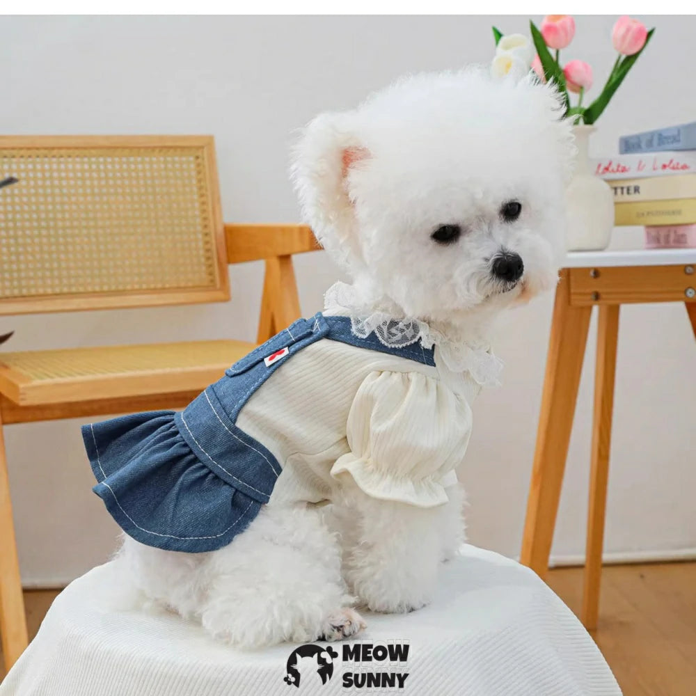 Denim Skirt Pet Clothes Dog Dress Spring Thin Short Skirt