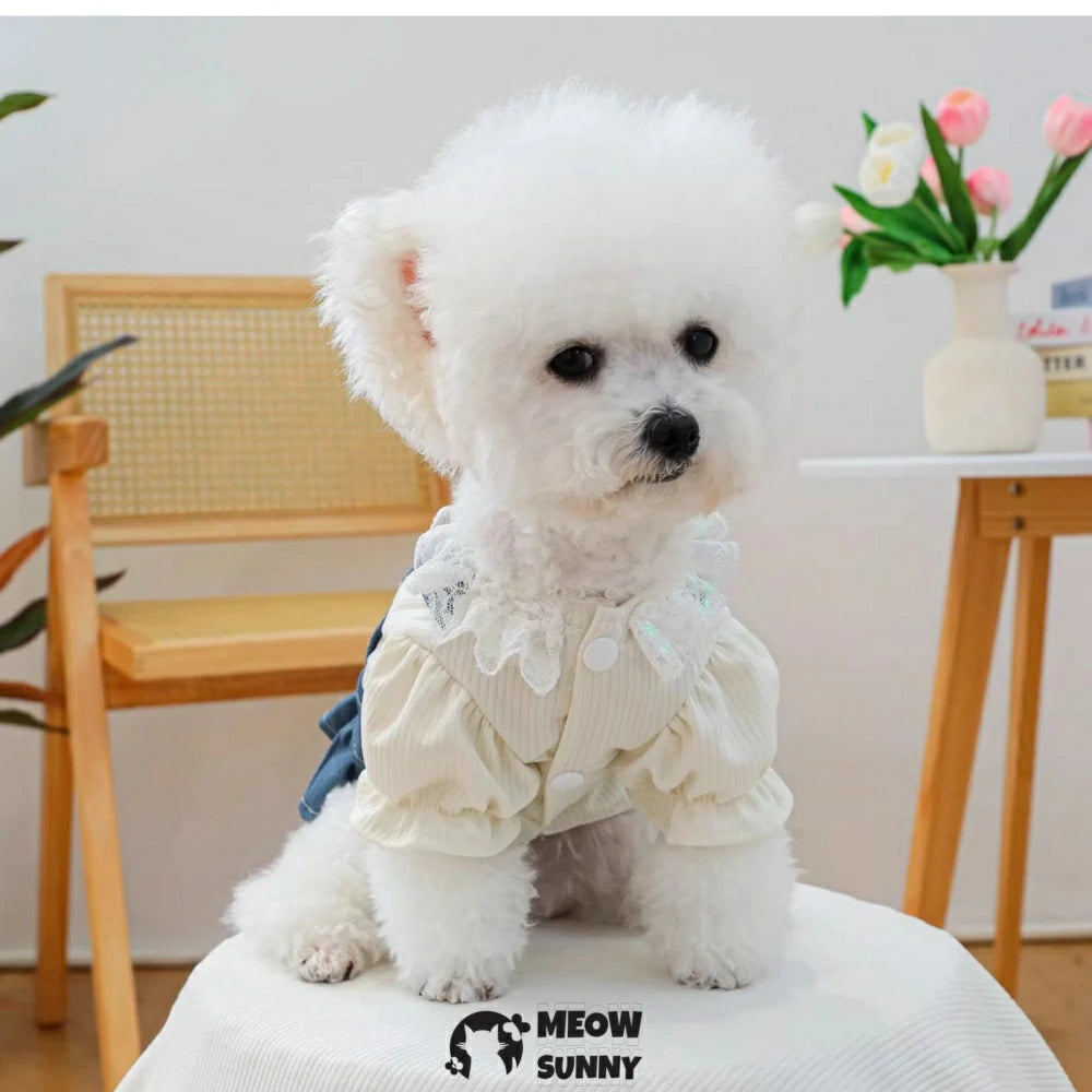 Denim Skirt Pet Clothes Dog Dress Spring Thin Short Skirt