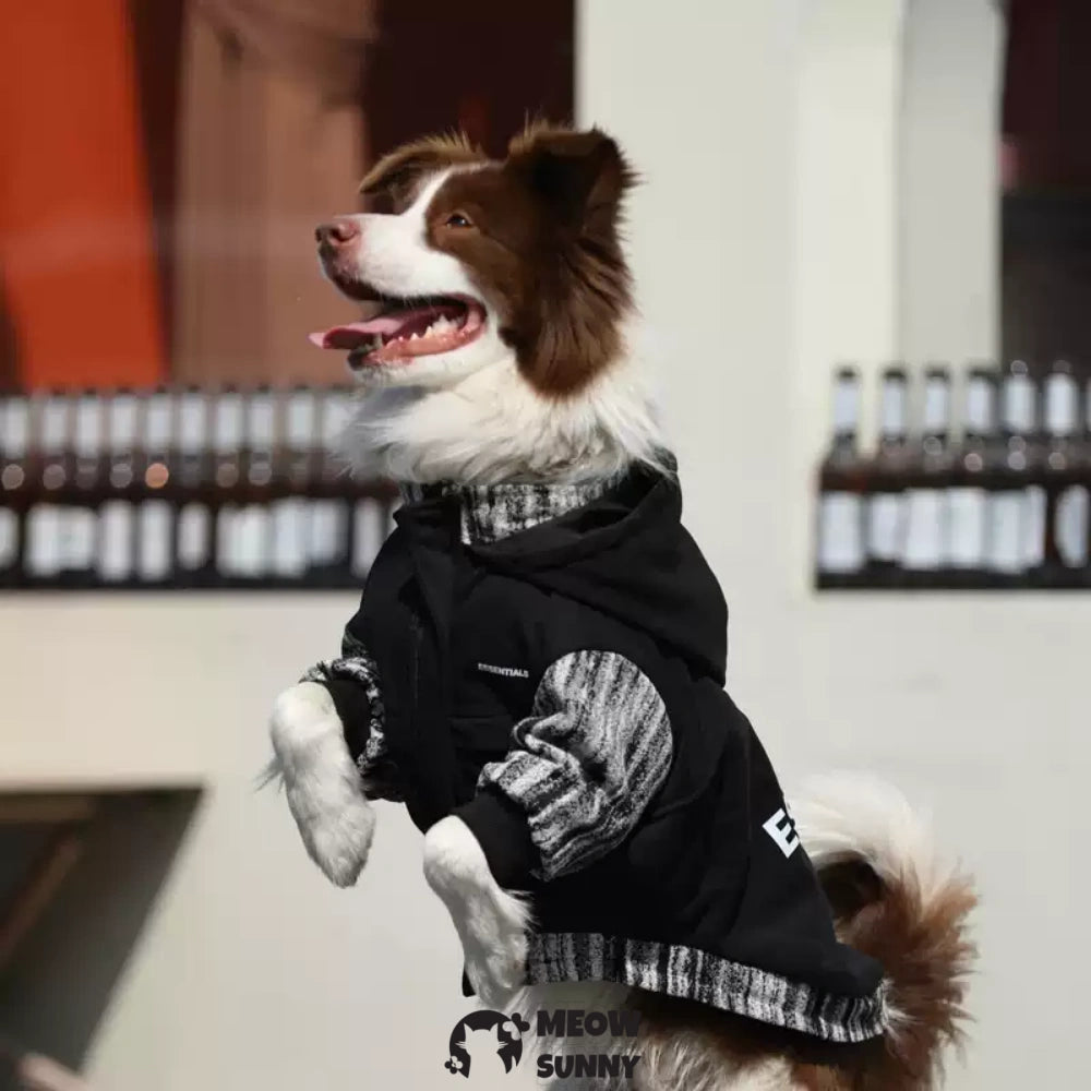 Black Hoodie Pullover Stylish Apparel for Large Medium Dogs 2-110lbs