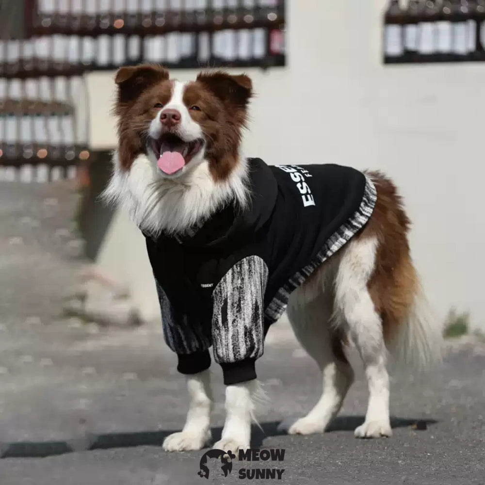 Black Hoodie Pullover Stylish Apparel for Large Medium Dogs 2-110lbs