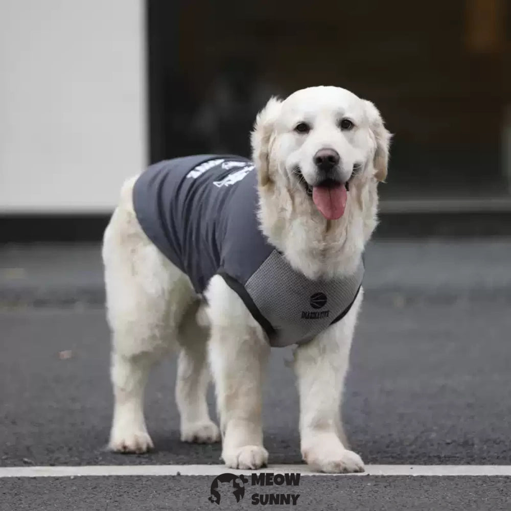 Dog Black Shirts,Summer Clothes for Medium Puppy French Bulldog