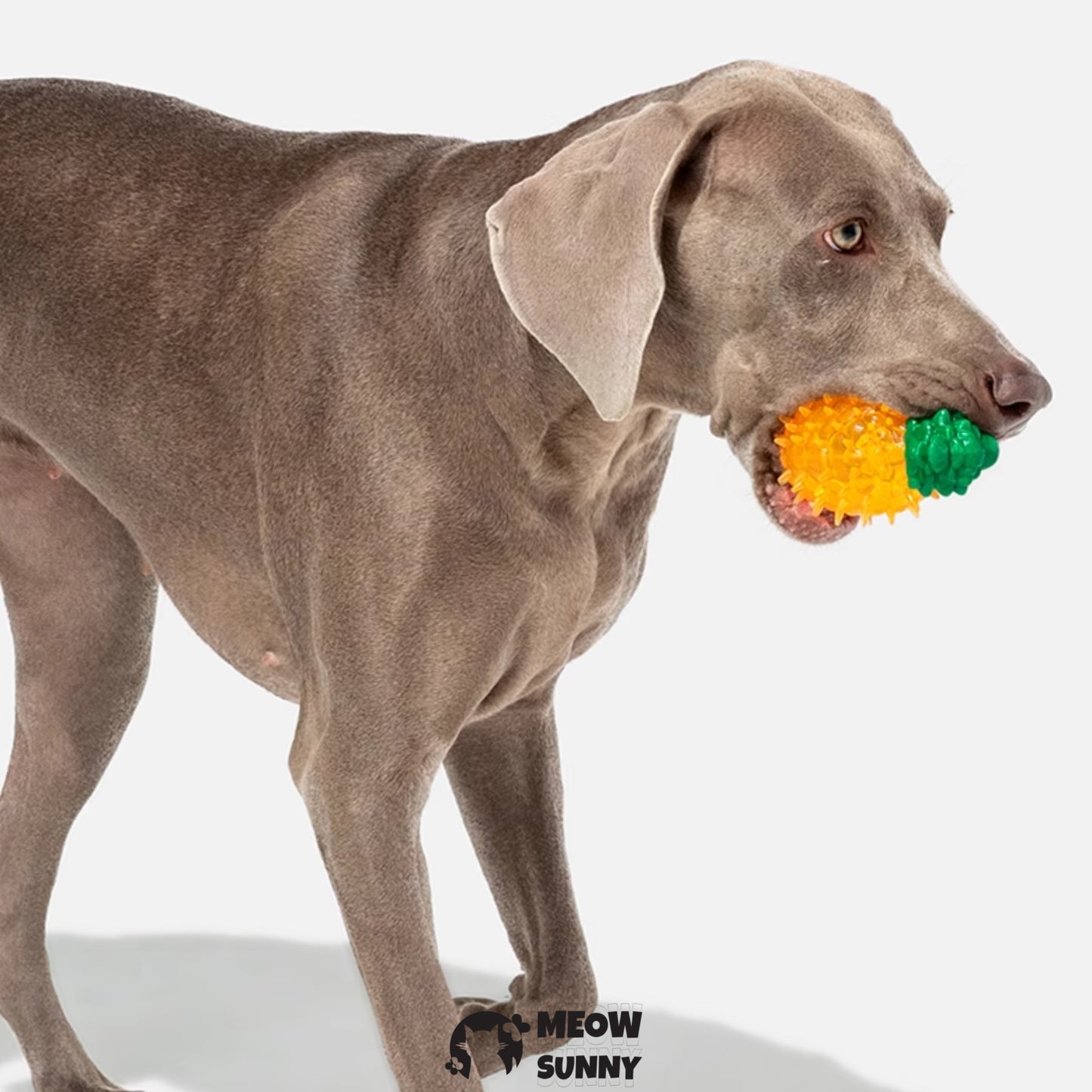 Dog Chew Toys for Aggressive Chewers