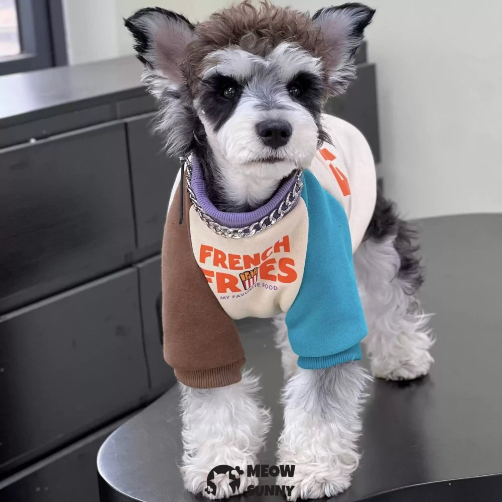Dog Clothes Autumn/Winter Plush Cotton Colorblock Sweatshirt