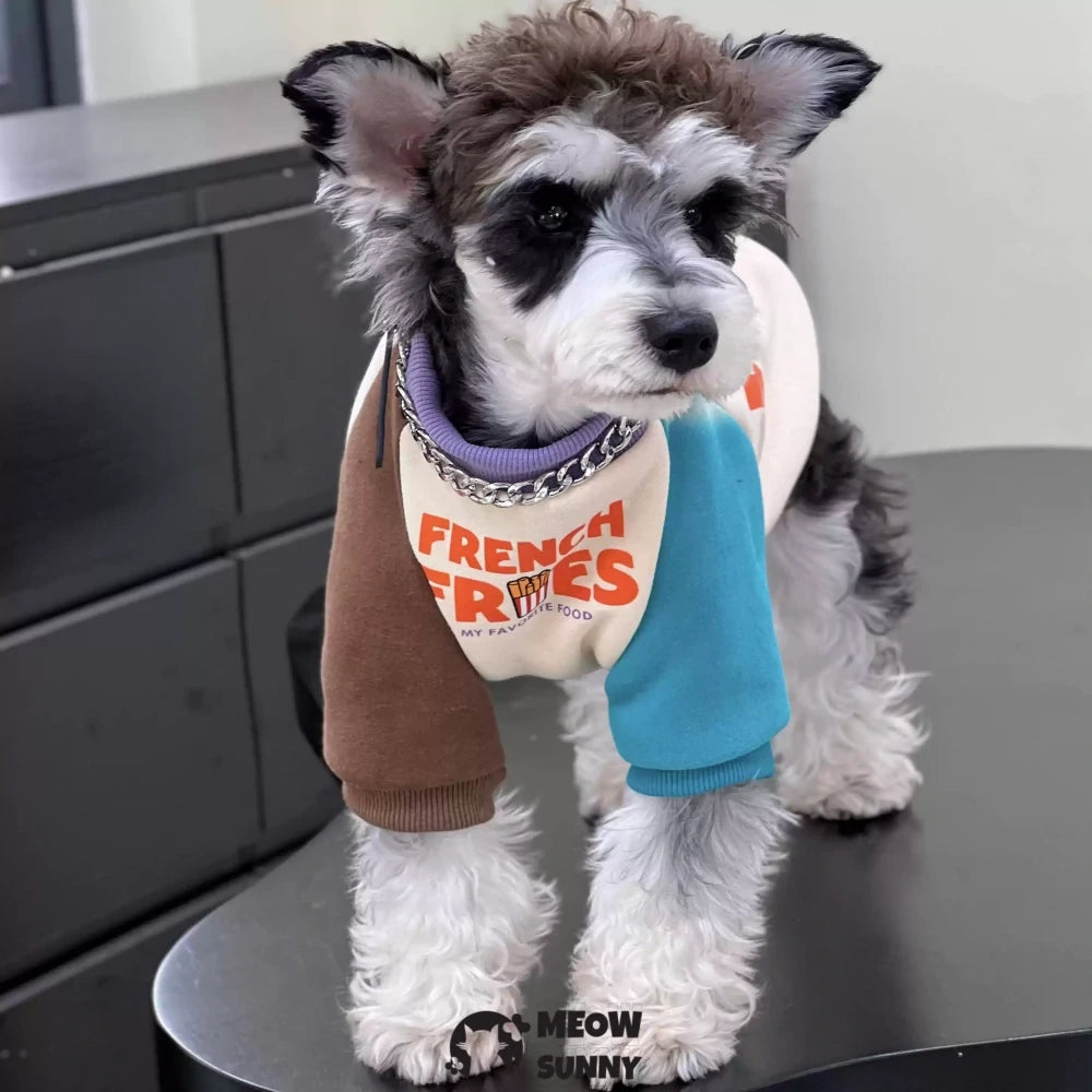 Dog Clothes Autumn/Winter Plush Cotton Colorblock Sweatshirt