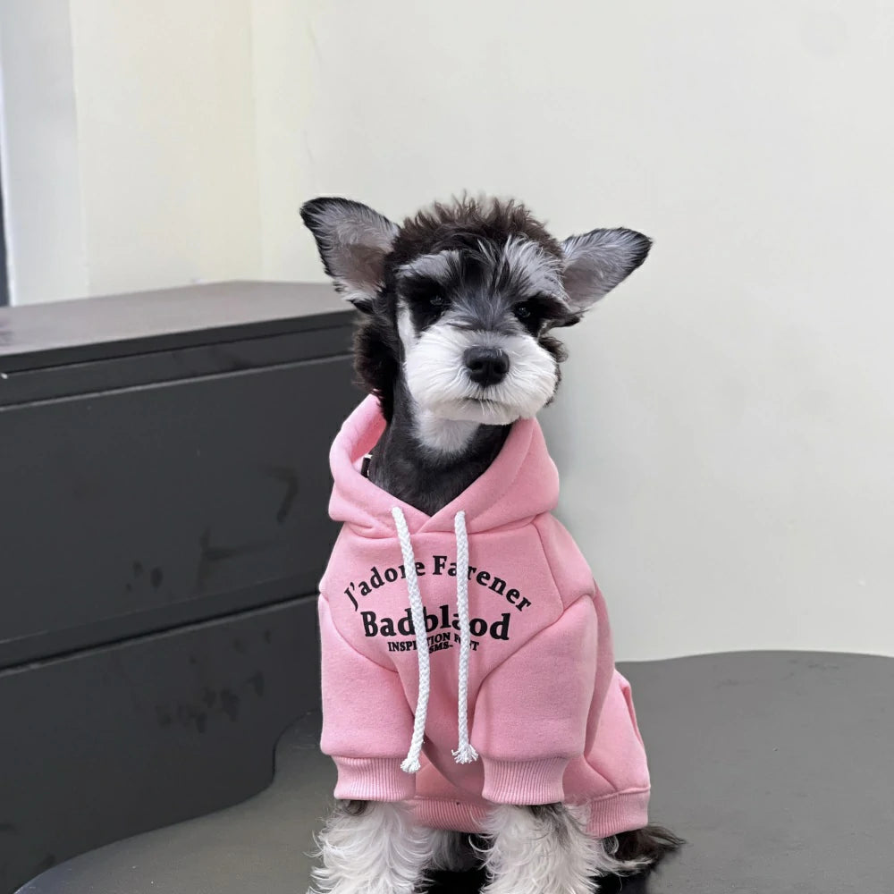 Dog Clothes Autumn and Winter Trendy Candy Color Cotton Sweatshirt