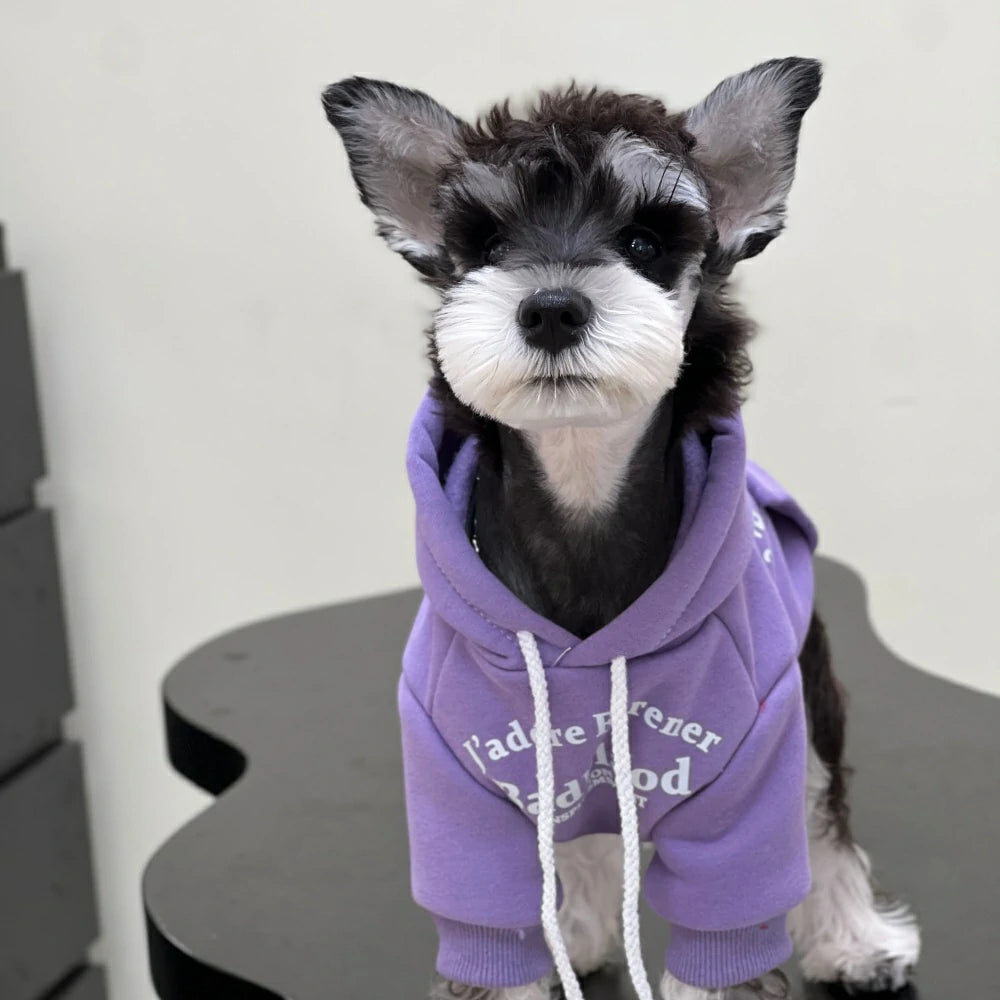 Dog Clothes Autumn and Winter Trendy Candy Color Cotton Sweatshirt