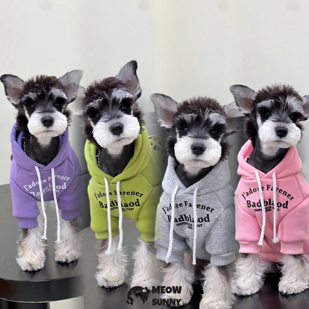 Dog Clothes Autumn and Winter Trendy Candy Color Cotton Sweatshirt