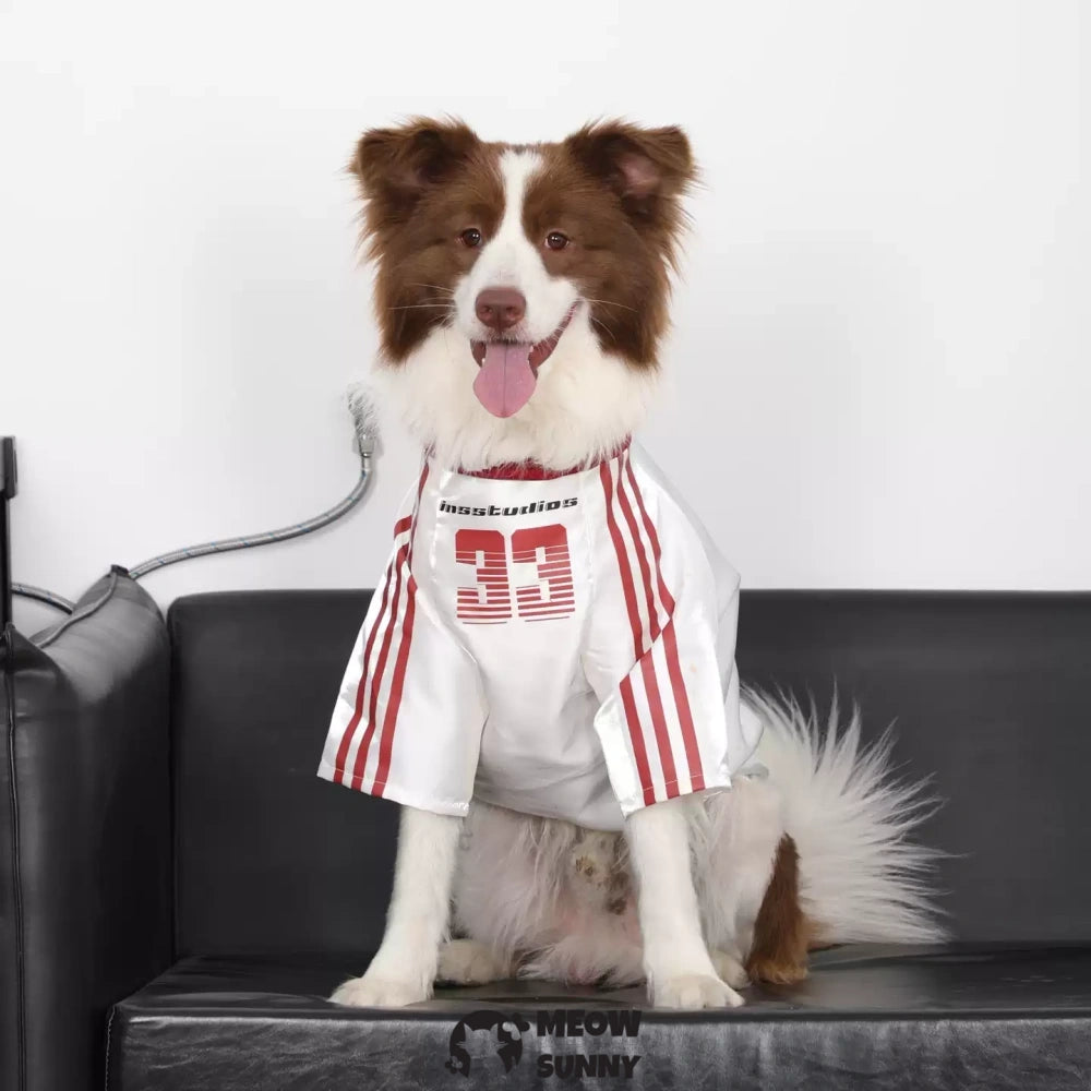 Dog Clothes Basketball Mesh Breathable T-Shirt