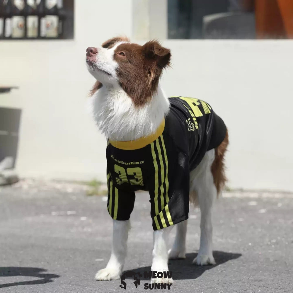 Dog Clothes Basketball Mesh Breathable T-Shirt