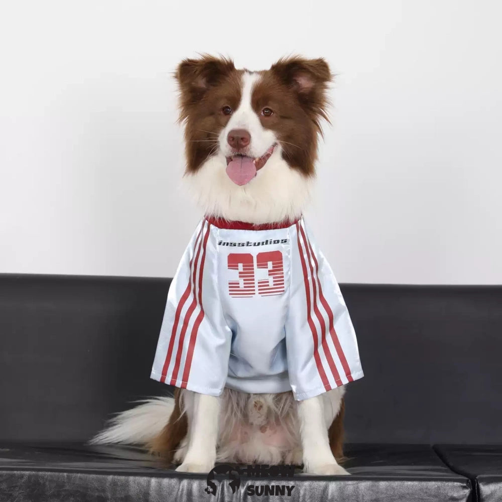 Dog Clothes Basketball Mesh Breathable T-Shirt
